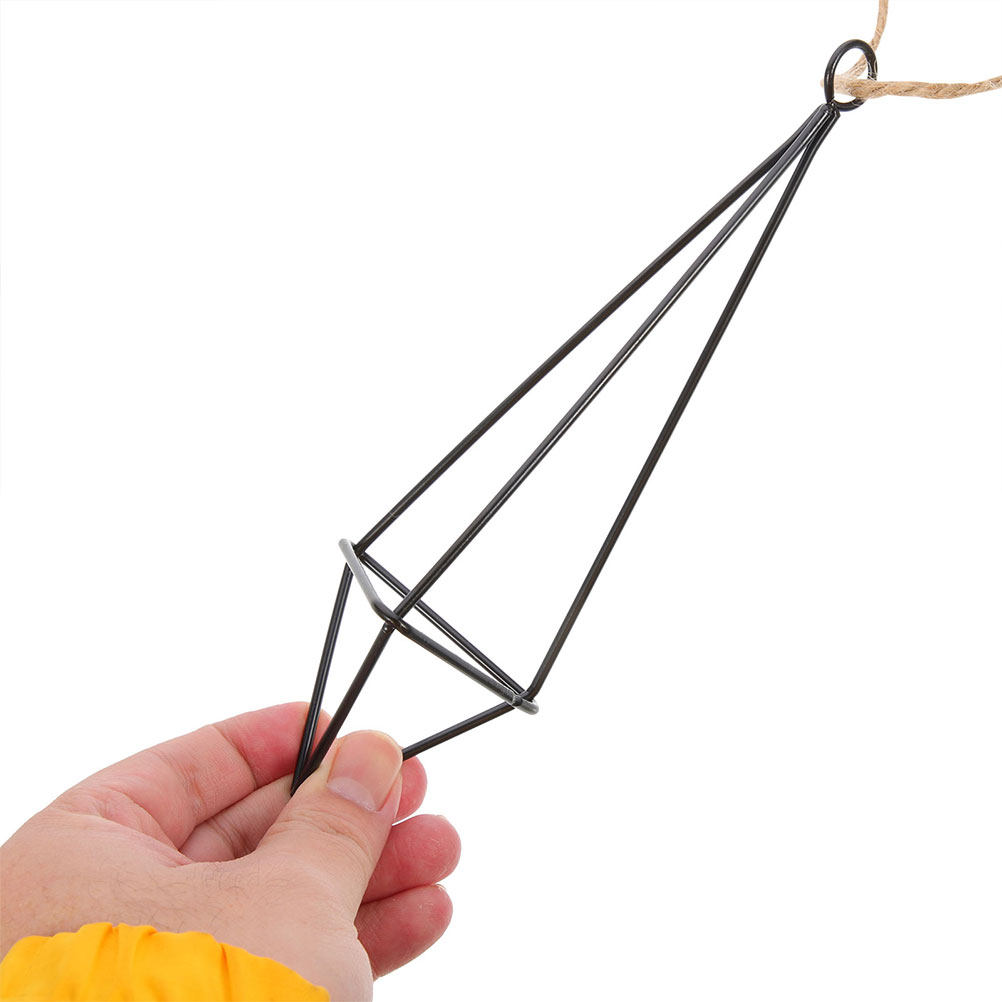 Spider Plant Hanging - 2 Stück Hängender Metallhalter für Luftpflanzen,
