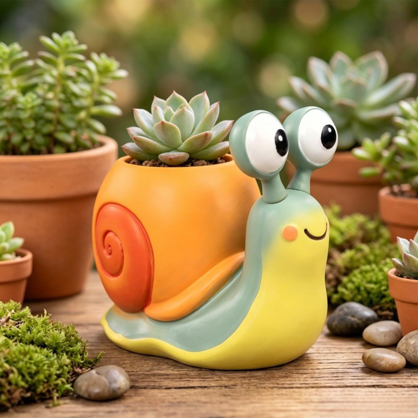 Schneckenförmiger Blumentopf,  – Echeveria Succulent Bewertung und Preis