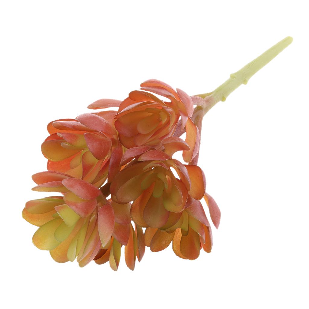 Künstliche Kunststoff-Sukkulen – Echeveria Succulent Bewertung und Preis