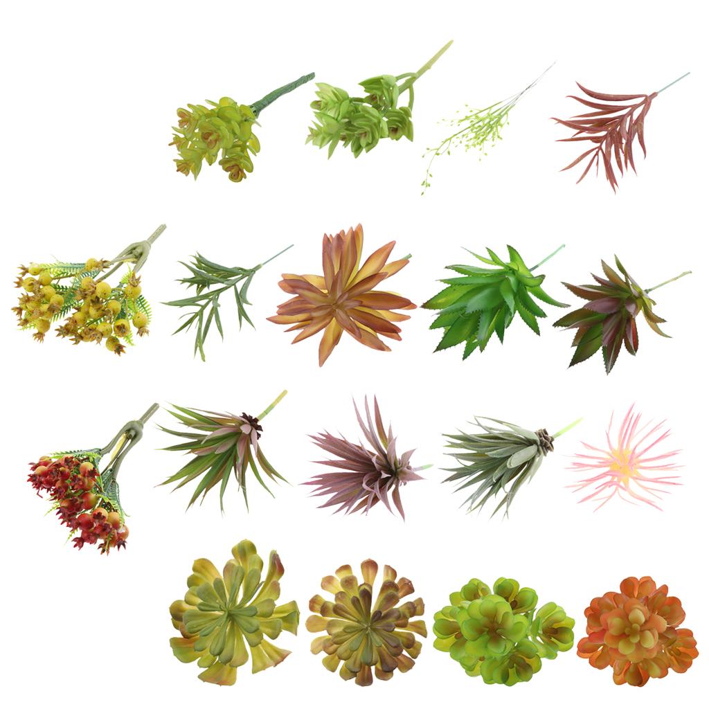 Künstliche Kunststoff-Sukkulen – Echeveria Succulent Bewertung und Preis