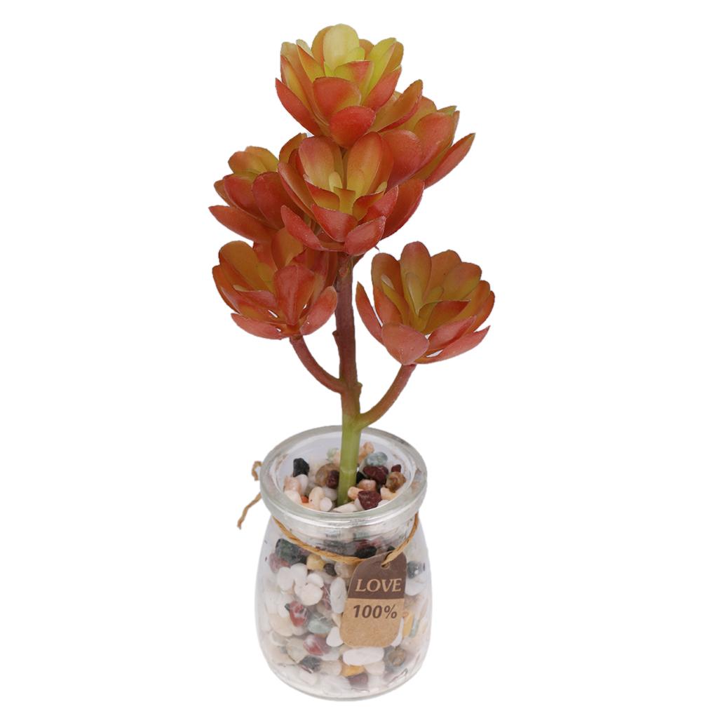 Künstliche Kunststoff-Sukkulen – Echeveria Succulent Bewertung und Preis