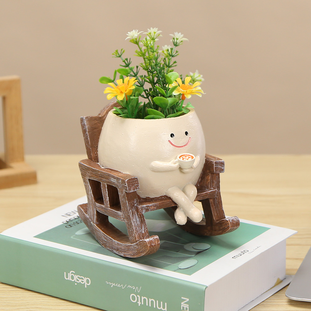 Kreativer Schaukelstuhl/Schauk – Echeveria Succulent Bewertung und Preis