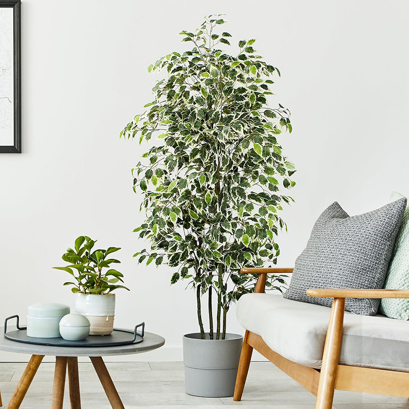 70 Zoll künstlicher Ficus-Baum – Ficus Lyrata Tree Bewertung und Preis