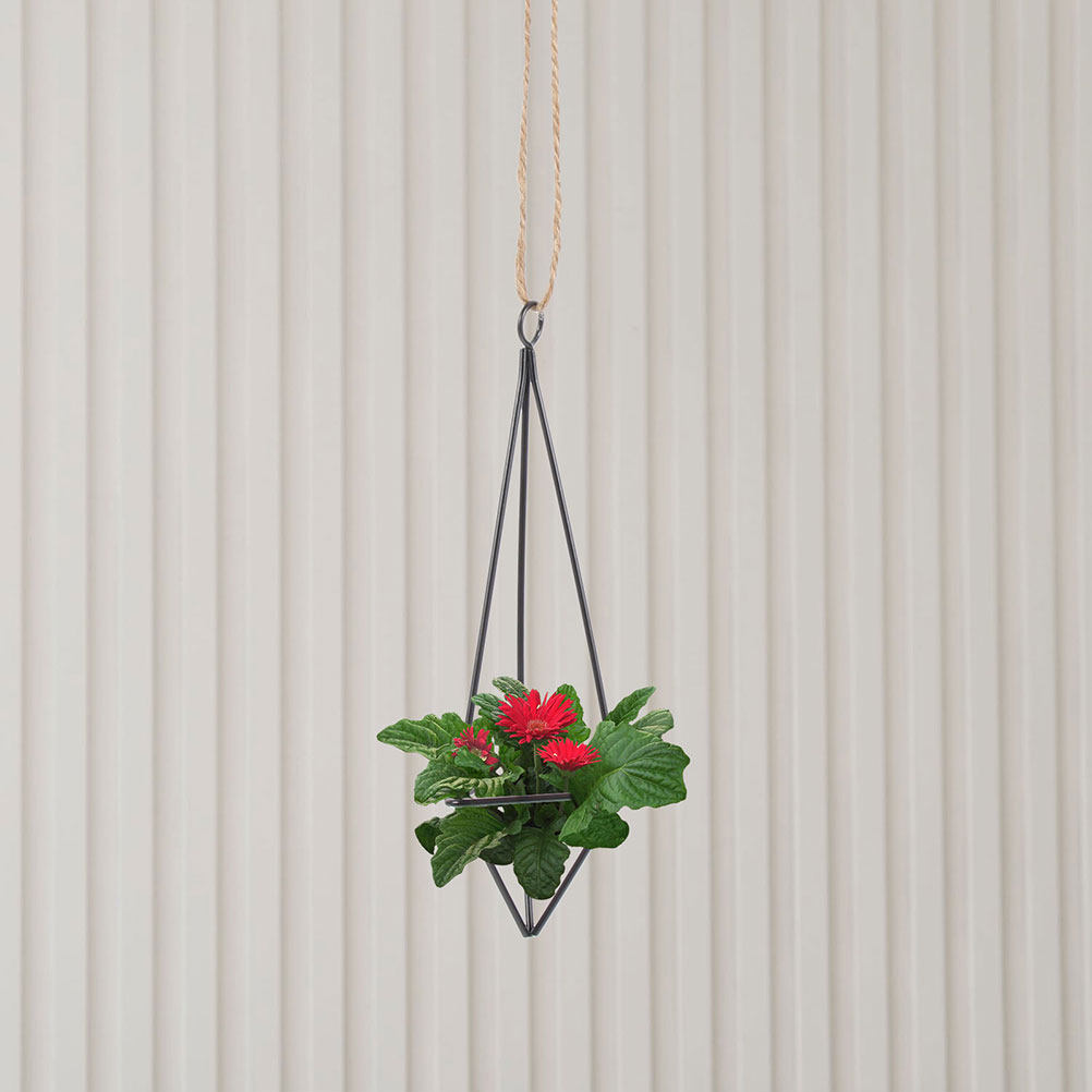 2 Stück Hängender Metallhalter – Spider Plant Hanging Bewertung und Preis