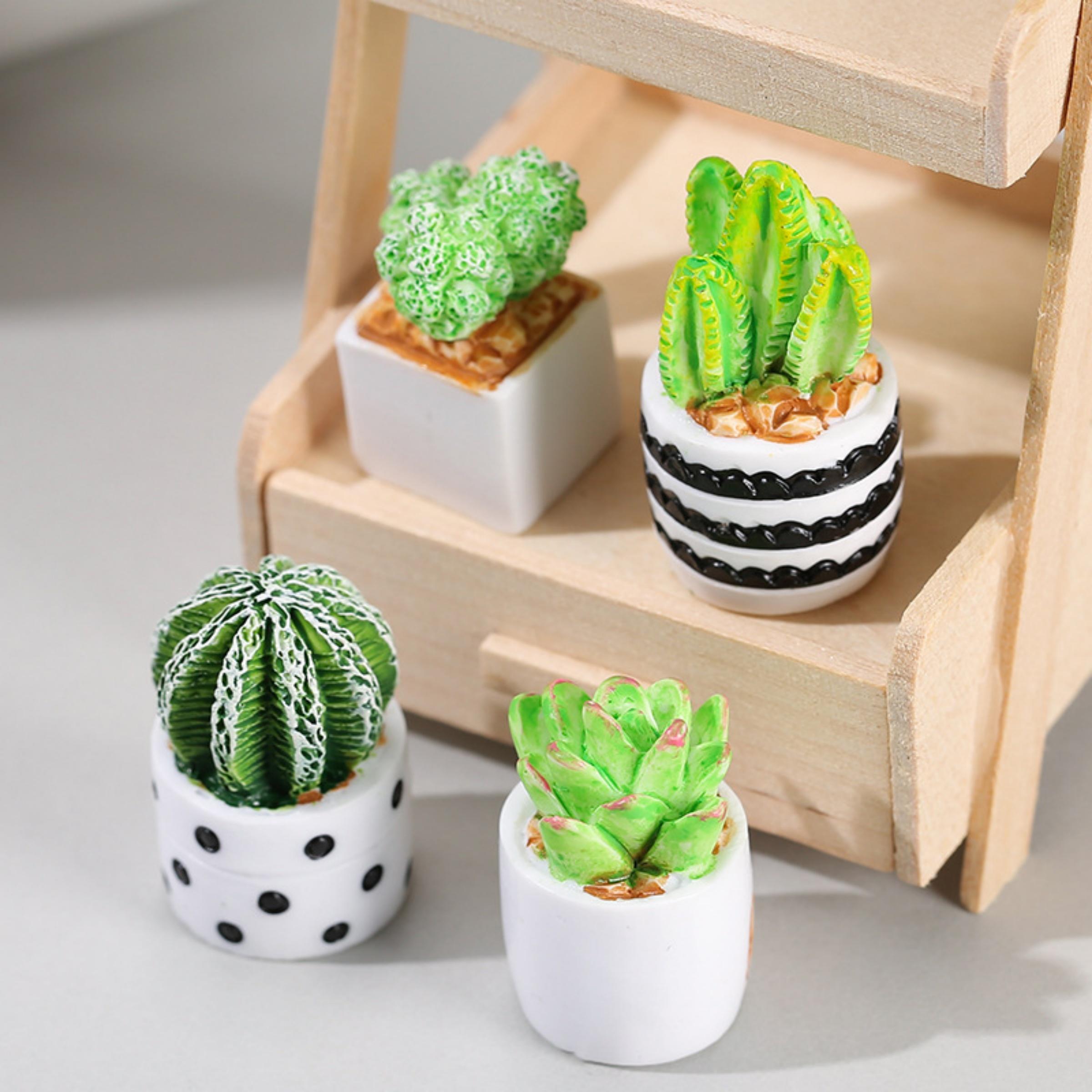 4-teiliges Set aus Kaktus-Sukk – Echeveria Succulent Bewertung und Preis