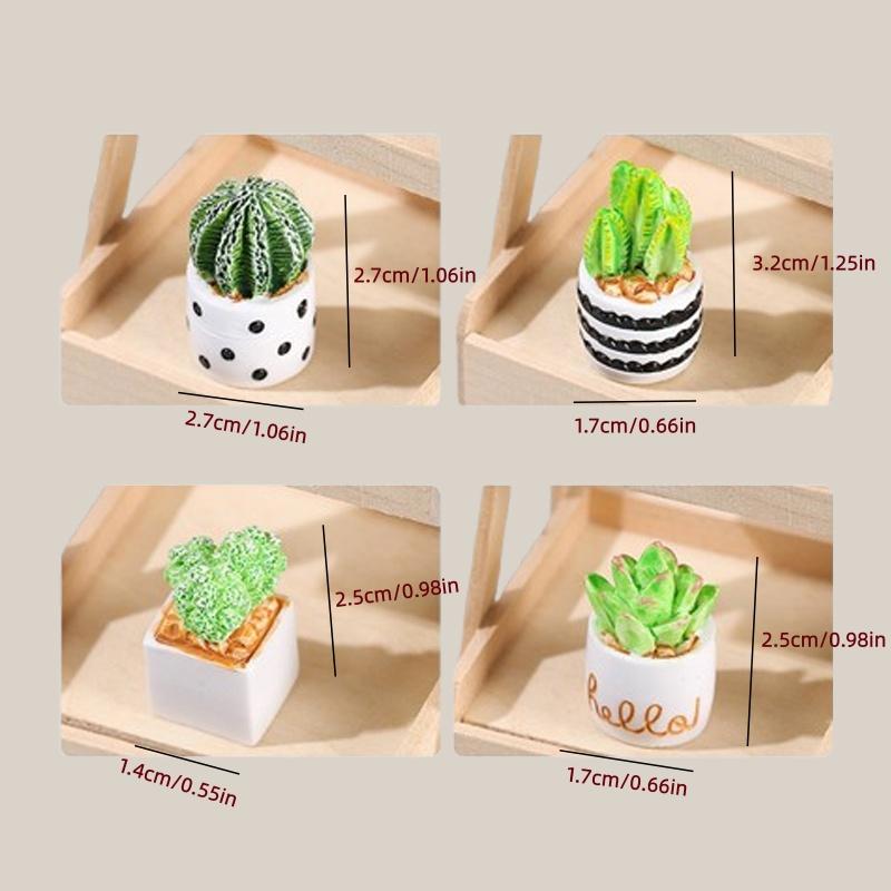 4-teiliges Set aus Kaktus-Sukk – Echeveria Succulent Bewertung und Preis