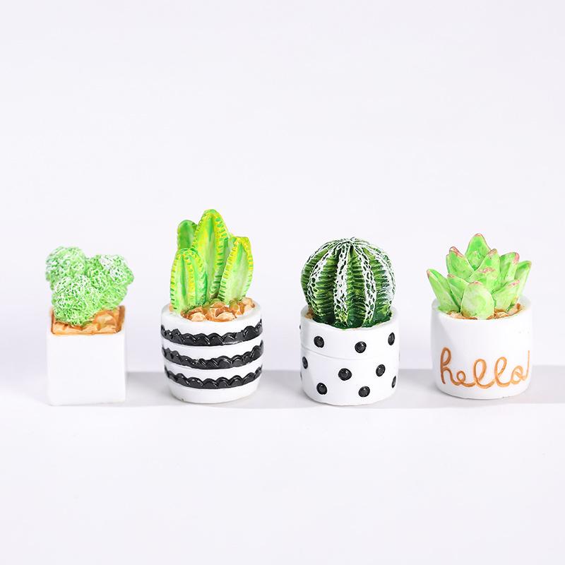 4-teiliges Set aus Kaktus-Sukk – Echeveria Succulent Bewertung und Preis