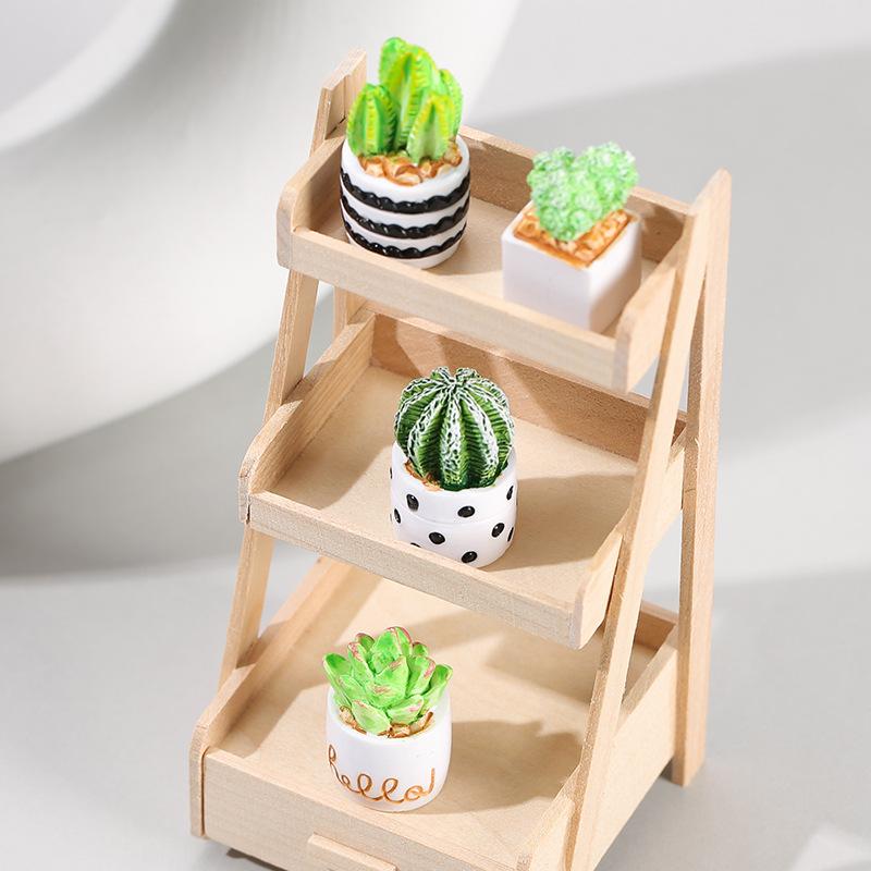 4-teiliges Set aus Kaktus-Sukk – Echeveria Succulent Bewertung und Preis